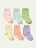 Pure Cotton Socks - Mini Berni