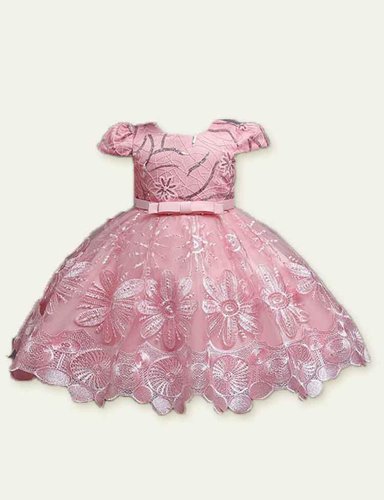 Lace Embroidered Dress - Mini Berni