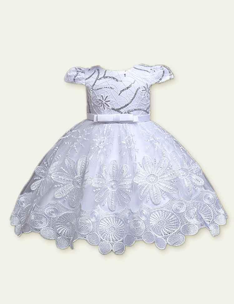 Lace Embroidered Dress - Mini Berni